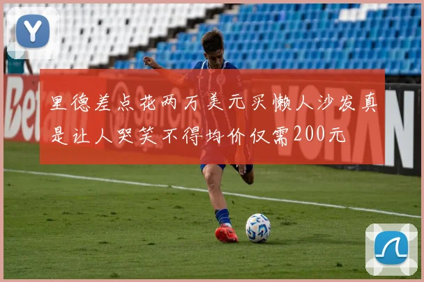 里德差点花两万美元买懒人沙发真是让人哭笑不得均价仅需200元