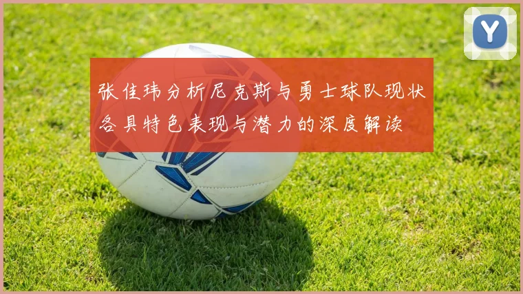 张佳玮分析尼克斯与勇士球队现状各具特色表现与潜力的深度解读