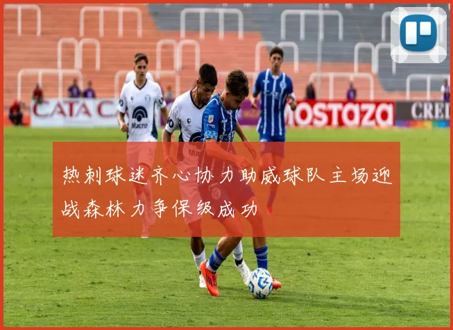 热刺球迷齐心协力助威球队主场迎战森林力争保级成功